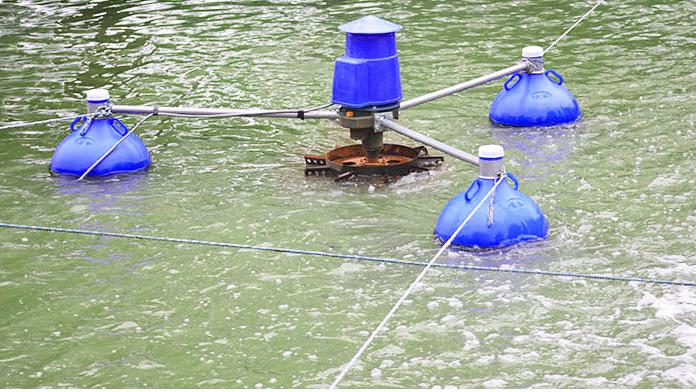 Aerador Comercial de 3HP para  - Fish Pond Aerator avaliação e preço