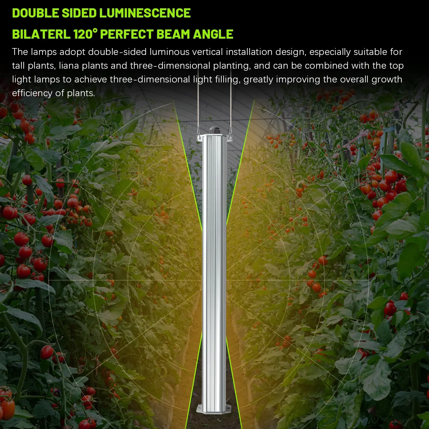 Melhor Sistema de Cultivo Vert - List Of Agriculture Farming avaliação e preço